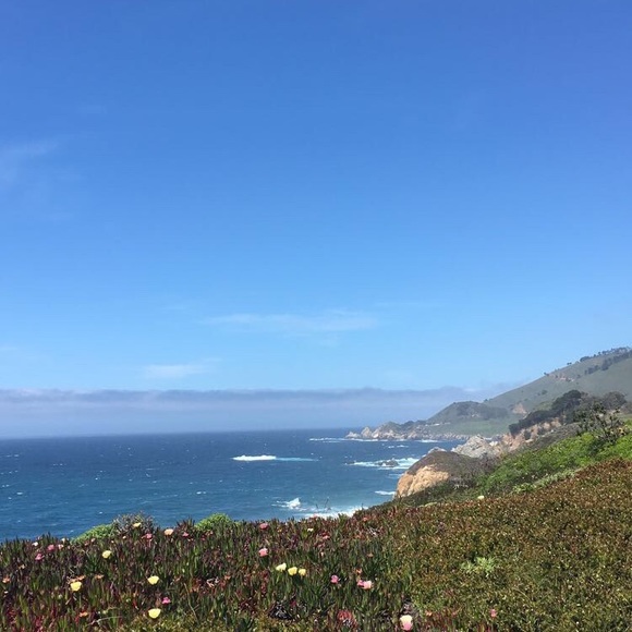 Meet your Posher, Kayla - Picture 1 of 1